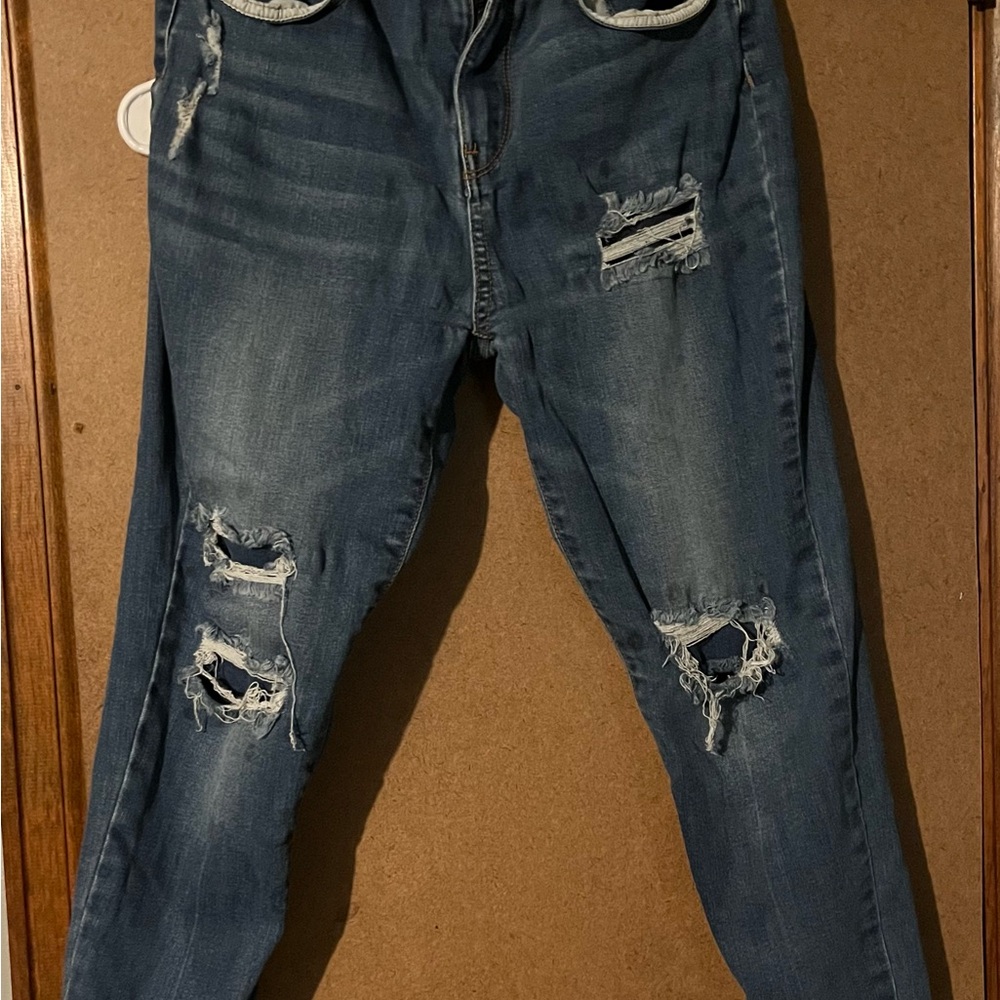 Wax Jean Women's Skinny Jeans - Distressed Blue